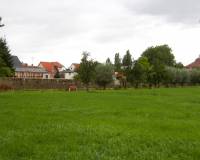 05_original_copy_1